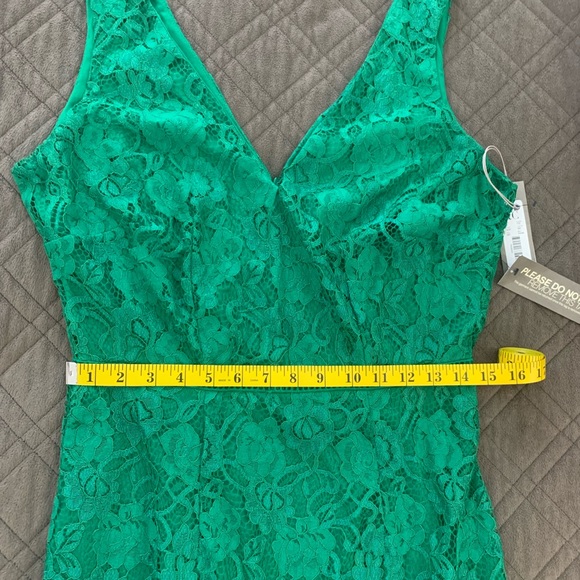 NWT! Eva Mendes Fiesta Collection Alexia Lace Sheath Dress size 8. - Picture 13 of 14